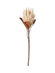 Pacific Lifestyle Apricot Dried Flower Bunch - Image 5 of 6