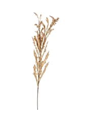 Pacific Lifestyle Apricot Dried Flower Bunch - Image 6 of 6