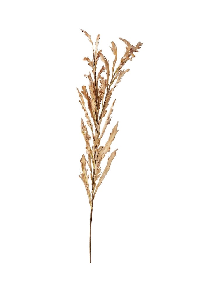 Pacific Lifestyle Apricot Dried Flower Bunch - Image 6 of 6