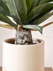 Pacific Lifestyle Green Agave Plant in Pot - Image 3 of 6