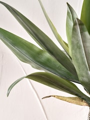 Pacific Lifestyle Green Agave Plant in Pot - Image 4 of 6