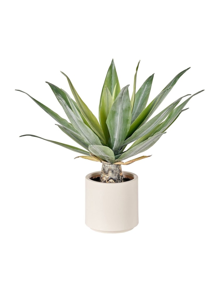Pacific Lifestyle Green Agave Plant in Pot - Image 6 of 6