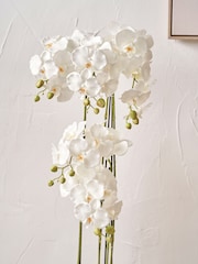 Pacific Lifestyle Green Tall White Orchid in Large Pot - Image 2 of 5