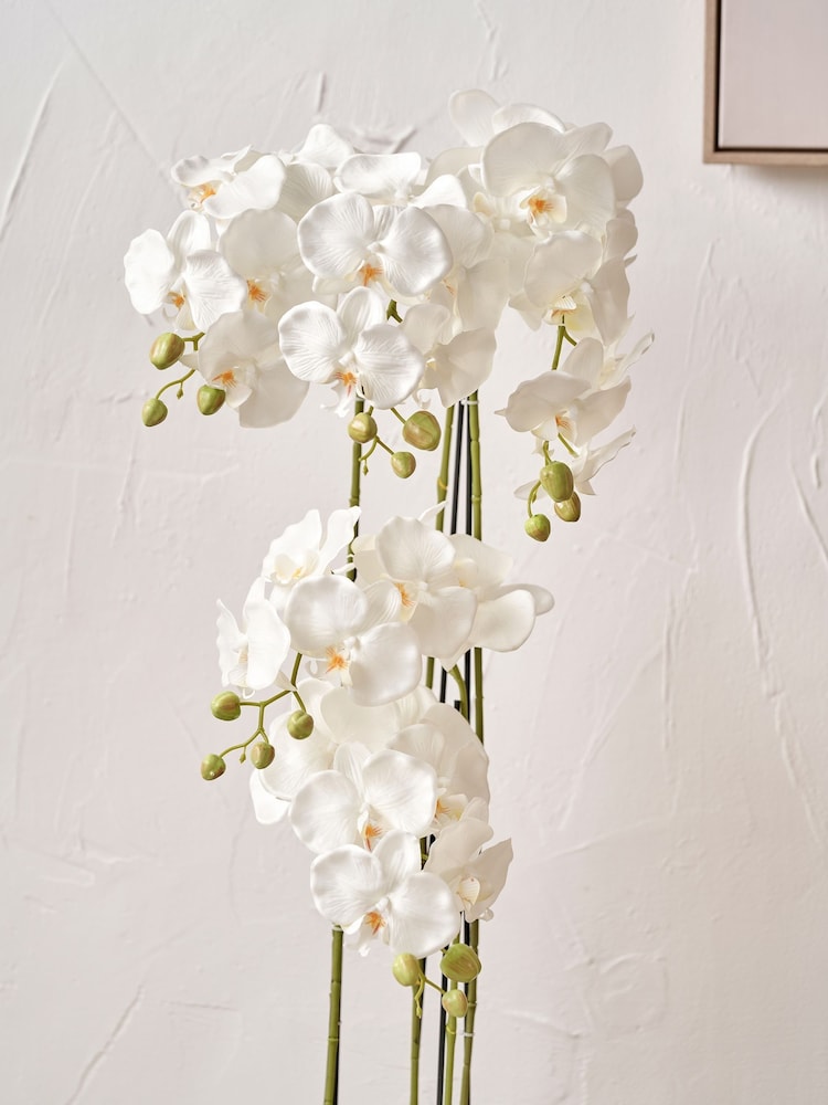 Pacific Lifestyle Green Tall White Orchid in Large Pot - Image 2 of 5