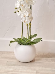 Pacific Lifestyle Green Tall White Orchid in Large Pot - Image 3 of 5