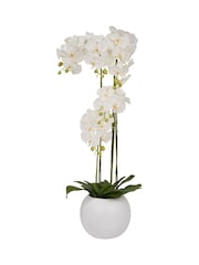 Pacific Lifestyle Green Tall White Orchid in Large Pot - Image 4 of 5