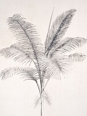 Pacific Lifestyle Natural Palm Tree Print Canvases with Black Frame - Image 3 of 5