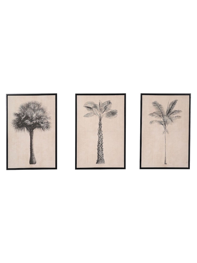 Pacific Lifestyle Natural Palm Tree Print Canvases with Black Frame - Image 5 of 5