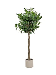 Pacific Lifestyle Green Bay Tree in Pot - Image 4 of 6