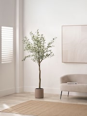 Pacific Lifestyle Green Large Artificial Olive Tree in Pot - Image 1 of 6