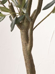 Pacific Lifestyle Green Large Artificial Olive Tree in Pot - Image 3 of 6