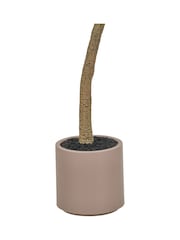 Pacific Lifestyle Green Large Artificial Olive Tree in Pot - Image 6 of 6