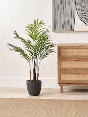 Pacific Lifestyle Green Areca Palm Plant in Pot - Image 1 of 6