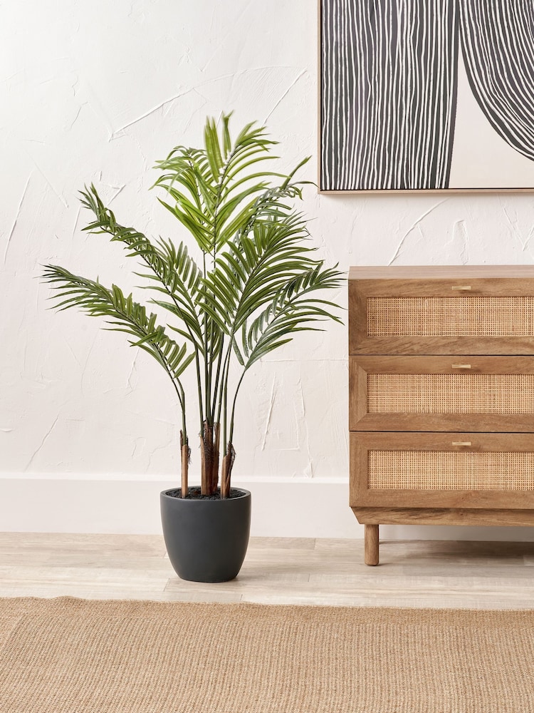 Pacific Lifestyle Green Areca Palm Plant in Pot - Image 1 of 6
