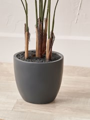 Pacific Lifestyle Green Areca Palm Plant in Pot - Image 2 of 6