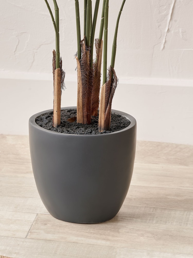 Pacific Lifestyle Green Areca Palm Plant in Pot - Image 2 of 6