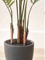 Pacific Lifestyle Green Areca Palm Plant in Pot - Image 3 of 6