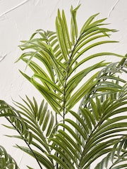 Pacific Lifestyle Green Areca Palm Plant in Pot - Image 4 of 6