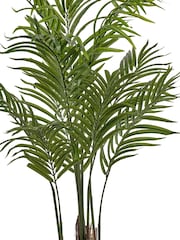 Pacific Lifestyle Green Areca Palm Plant in Pot - Image 6 of 6