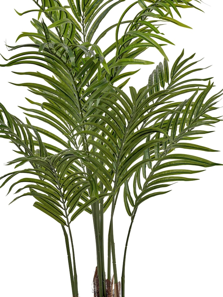 Pacific Lifestyle Green Areca Palm Plant in Pot - Image 6 of 6