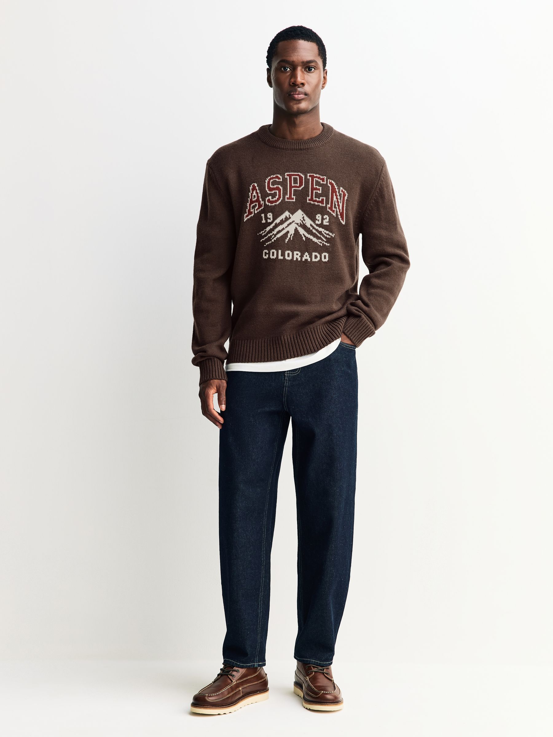 Buy Brown Relaxed Fit Aspen Graphic Crew Neck Jumper with Wool
