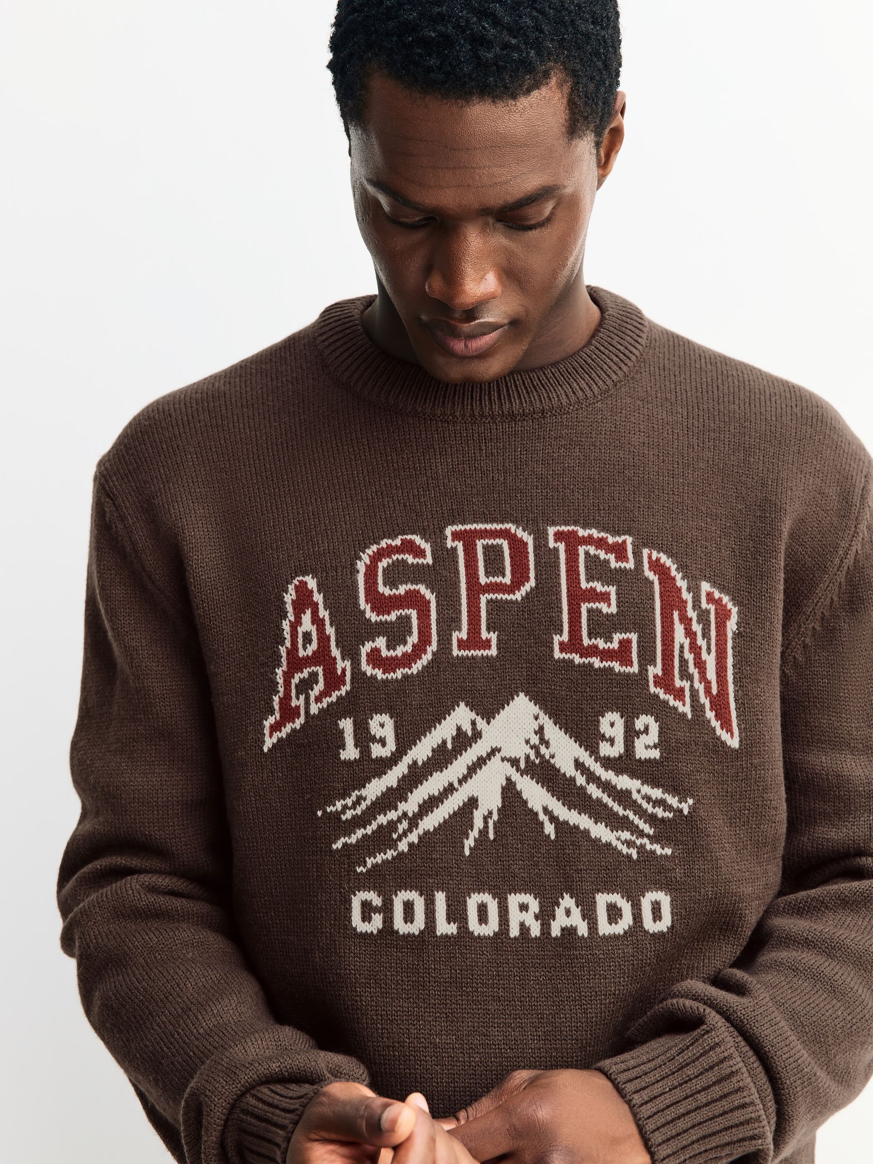 Buy Brown Relaxed Fit Aspen Graphic Crew Neck Jumper with Wool