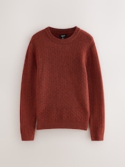 Rust Red Regular Fit Textured Crew Neck Knitted Jumper - Image 1 of 3