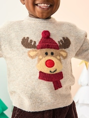 Neutral/Grey Reindeer Knitted Christmas Jumper (3mths-7yrs) - Image 4 of 8