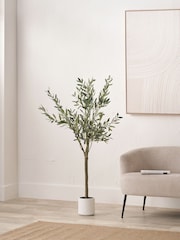 Pacific Lifestyle Green Medium Artificial Olive Tree in Pot - Image 1 of 3
