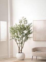Pacific Lifestyle Green Extra Large Artificial Olive Tree in Pot - Image 1 of 3