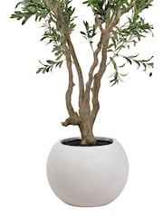 Pacific Lifestyle Green Extra Large Artificial Olive Tree in Pot - Image 2 of 3