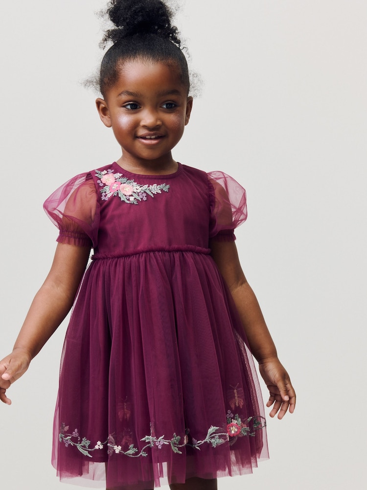 Berry Red Embroidered Mesh Party Dress (3mths-10yrs) - Image 1 of 9