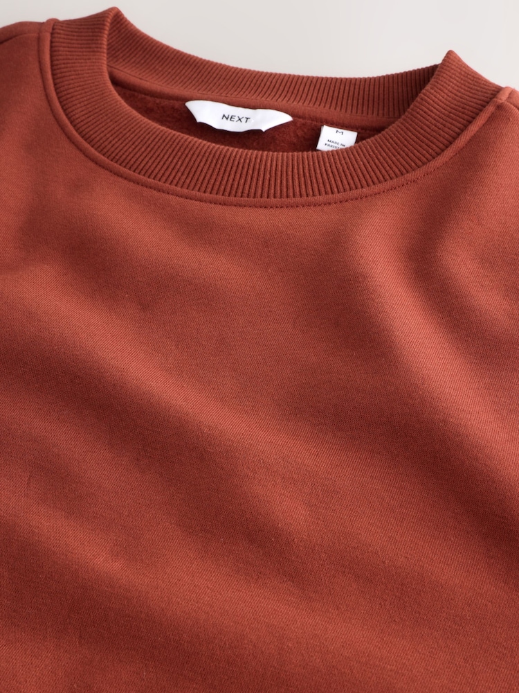 Rust Brown Regular Fit Heavyweight Cotton Rich Crew Sweatshirt - Image 7 of 7 Rust Brown Regular Fit Heavyweight Cotton Rich Crew Sweatshirt - Image 7 of 7
