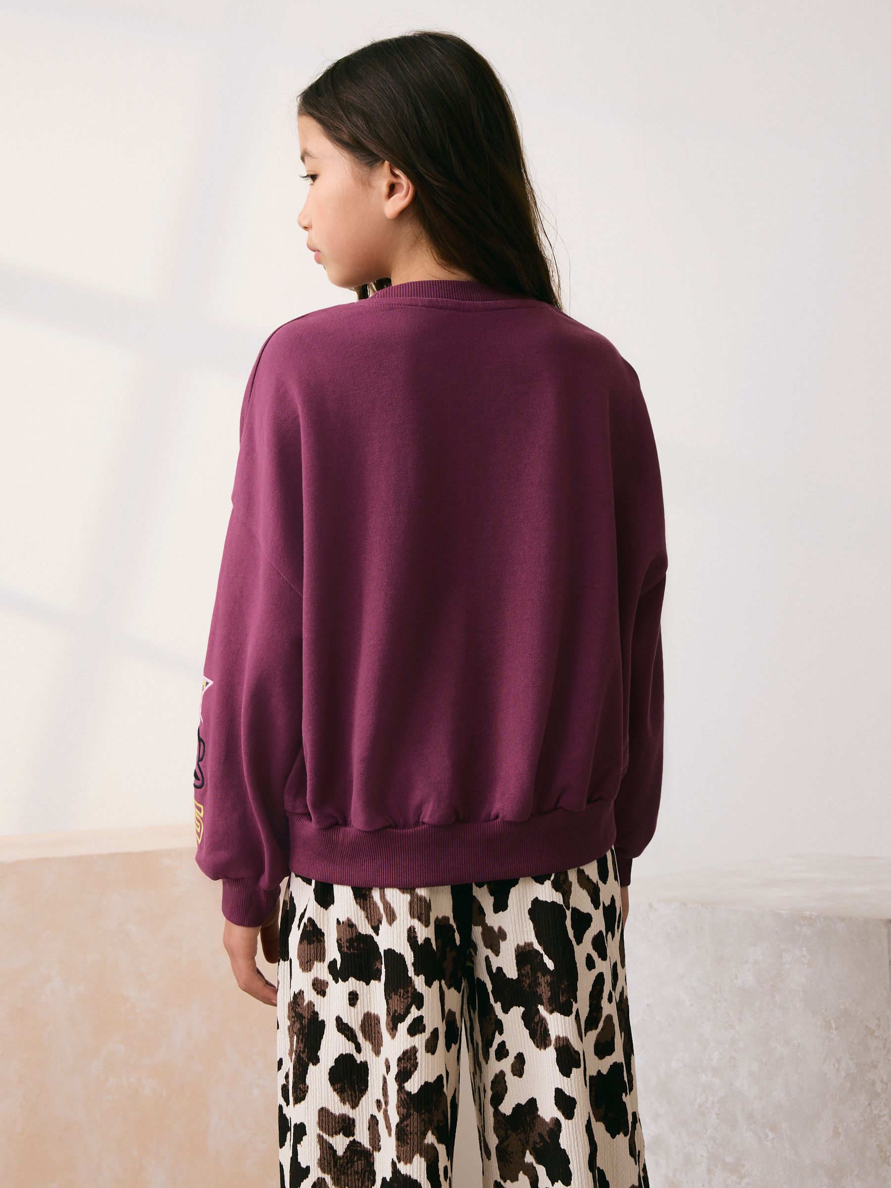 Buy Purple Paul Frank Graphic Long Sleeve Sweat Top (3-16yrs) from