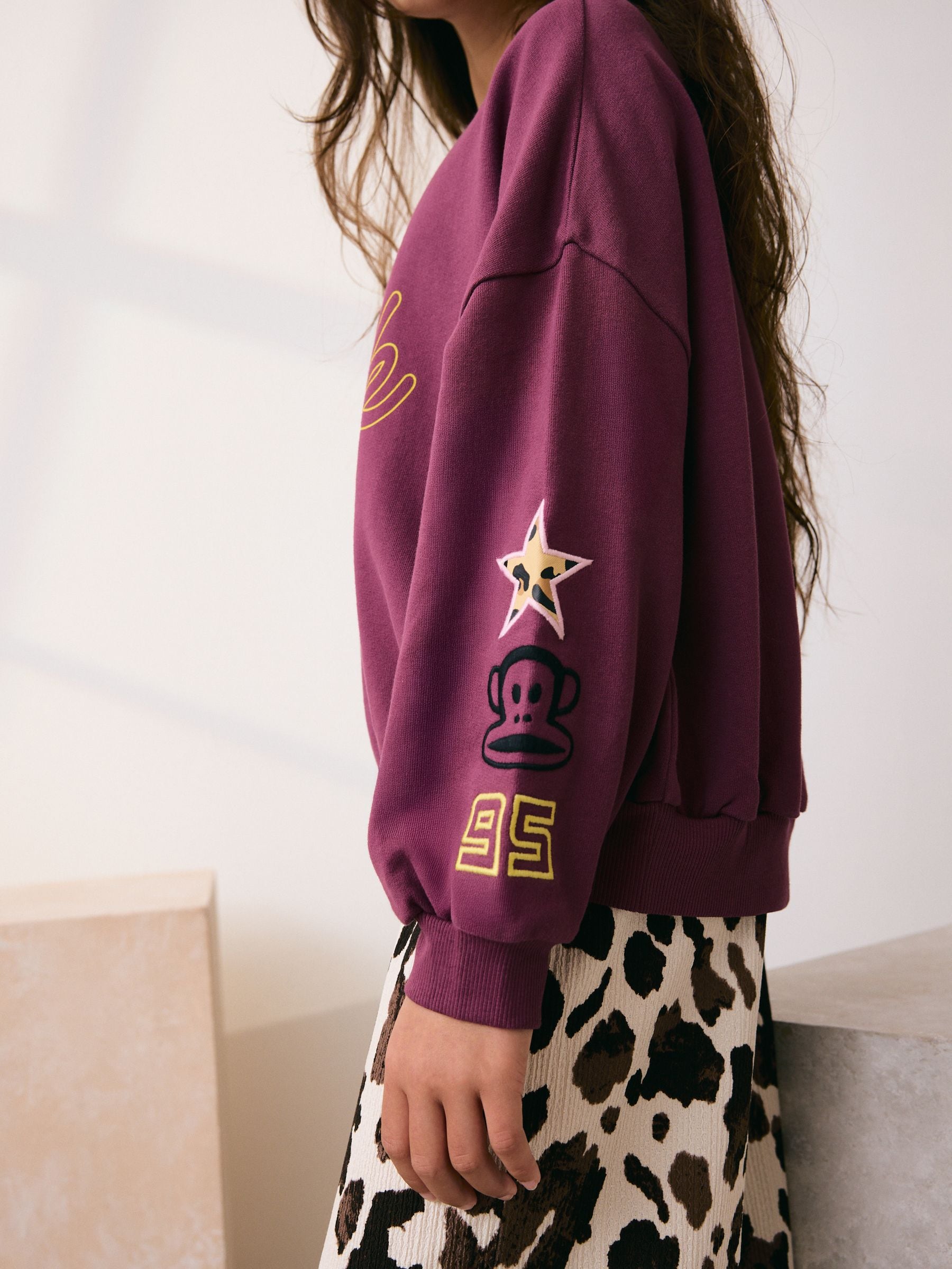 Buy Purple Paul Frank Graphic Long Sleeve Sweat Top (3-16yrs) from