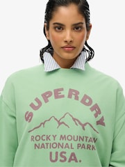 Superdry Green Lo-Fi Outdoor Mono Loose Crew 100% Cotton Sweat Tops - Image 4 of 4