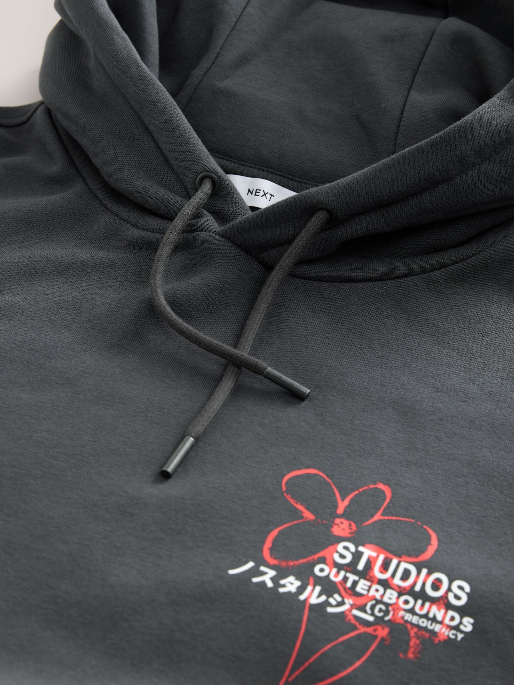 Buy Slate Grey Graphic Print Hoodie from the Next UK online shop