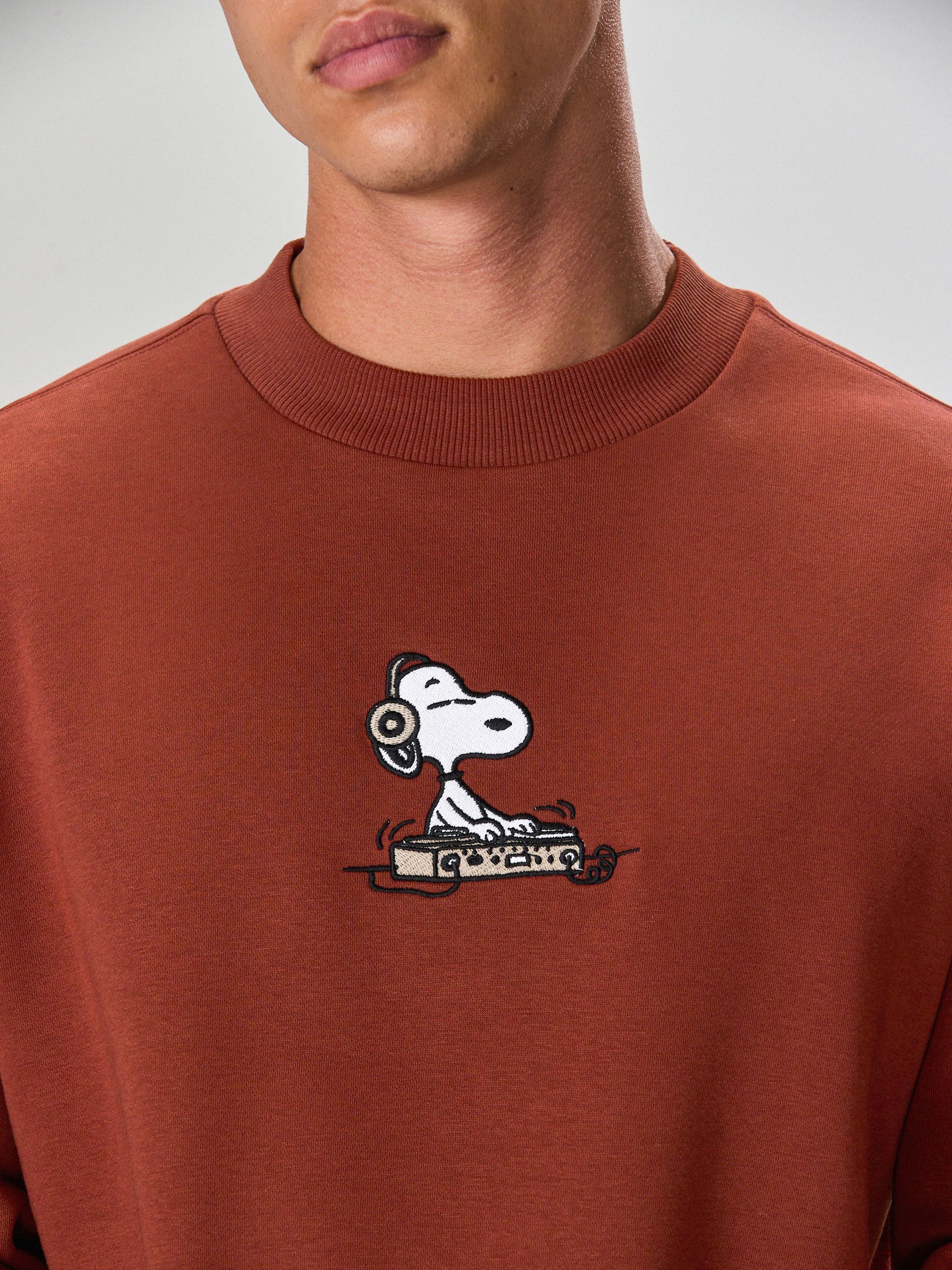 Buy Rust Brown Snoopy Graphic Back Print Crew Sweatshirt from Next USA