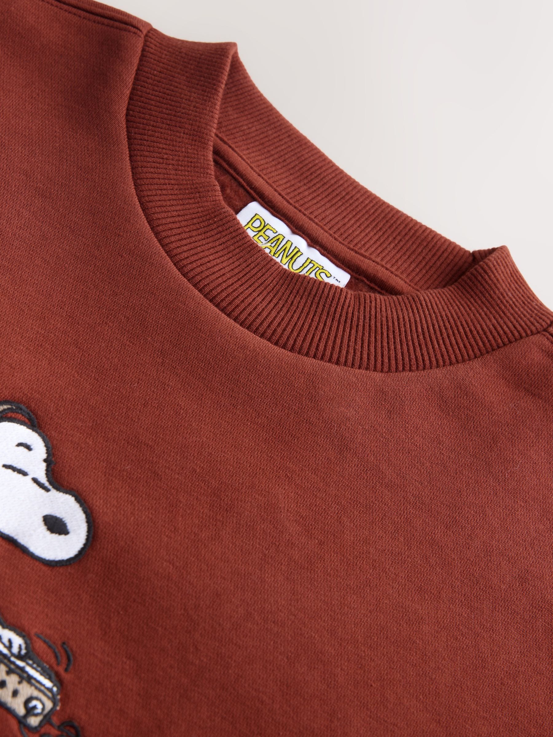 Buy Rust Brown Snoopy Graphic Back Print Crew Sweatshirt from Next USA