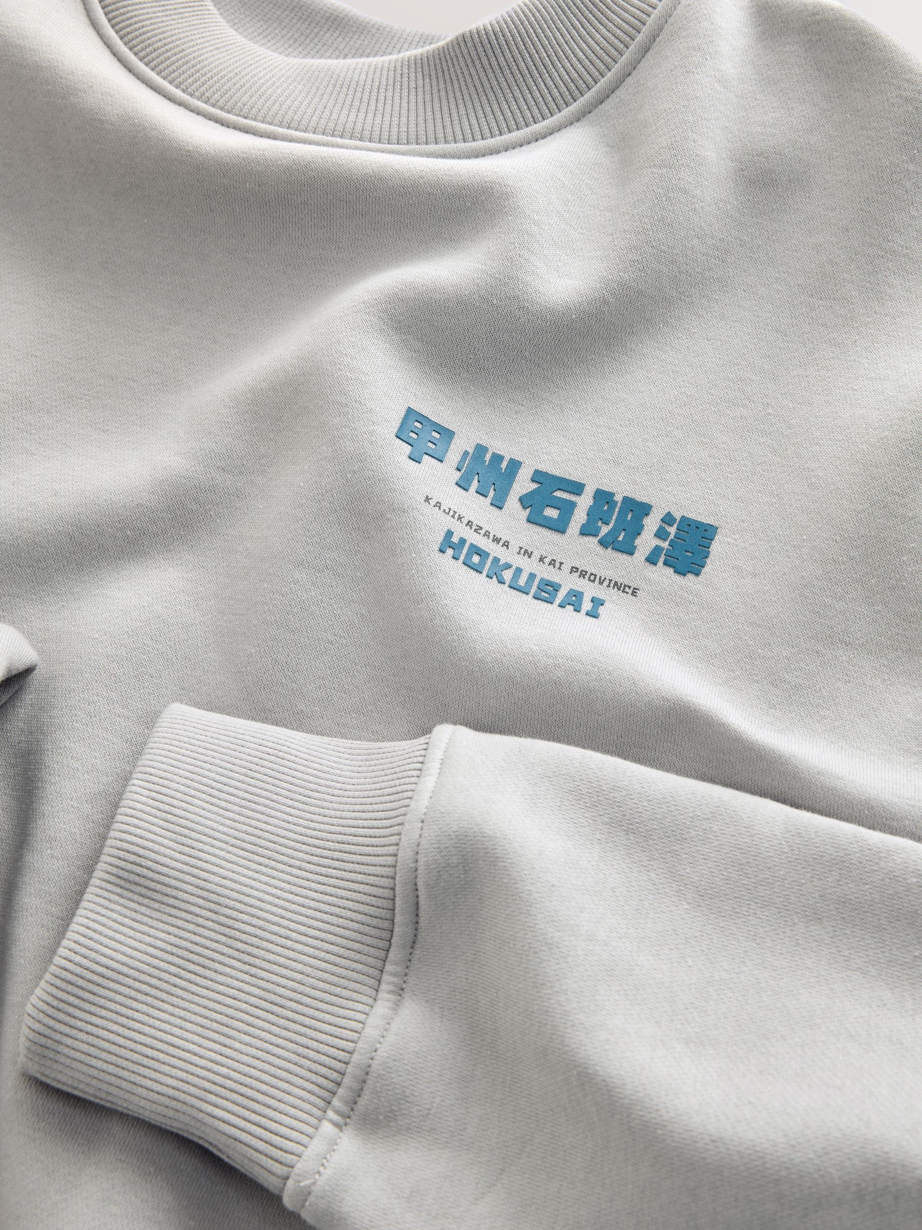Buy Ice Grey Crew Sweatshirt Hokusai Graphic Sweat Top from the