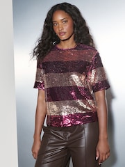 Berry Red/Gold Stripe Sequin Boxy Crew Neck T-Shirt - Image 1 of 8
