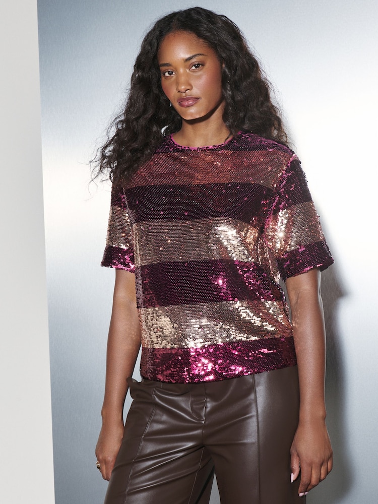 Berry Red/Gold Stripe Sequin Boxy Crew Neck T-Shirt - Image 1 of 8