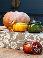 Laura Ashley Autumn Harvest Scented Pumkin Set of 3 Candles - Image 2 of 5