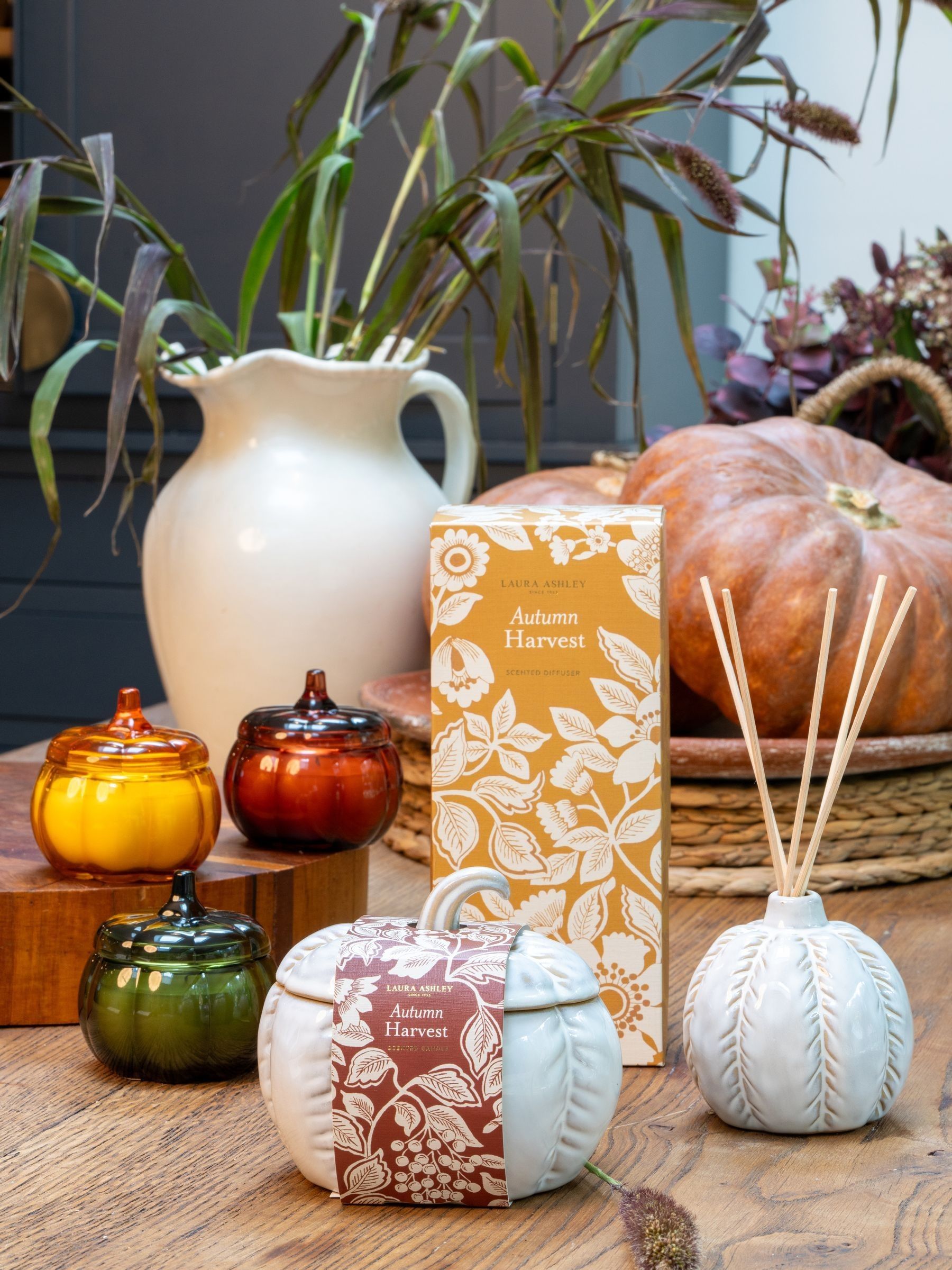 Buy Laura Ashley Autumn Harvest Scented Pumpkin Set of 3 Candles