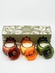 Laura Ashley Autumn Harvest Scented Pumkin Set of 3 Candles - Image 4 of 5