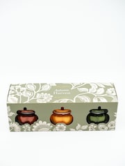 Laura Ashley Autumn Harvest Scented Pumkin Set of 3 Candles - Image 5 of 5