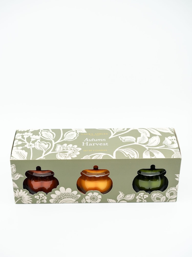 Laura Ashley Autumn Harvest Scented Pumkin Set of 3 Candles - Image 5 of 5