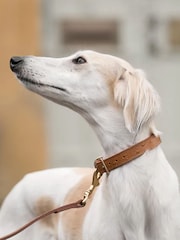 Lords and Labradors Tan Leather Dog Collar - Image 3 of 6
