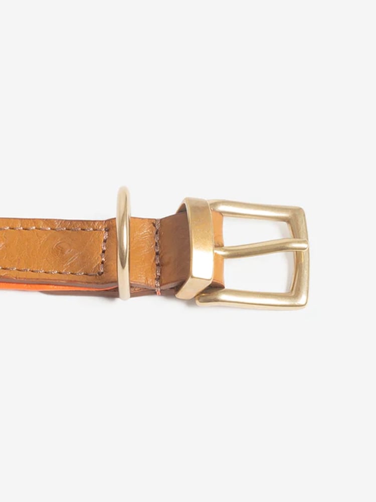 Lords and Labradors Tan Leather Dog Collar - Image 6 of 6