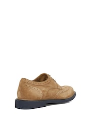 Dune London Brown Baileys Lace-Up Suede Gibson Shoes - Image 3 of 6